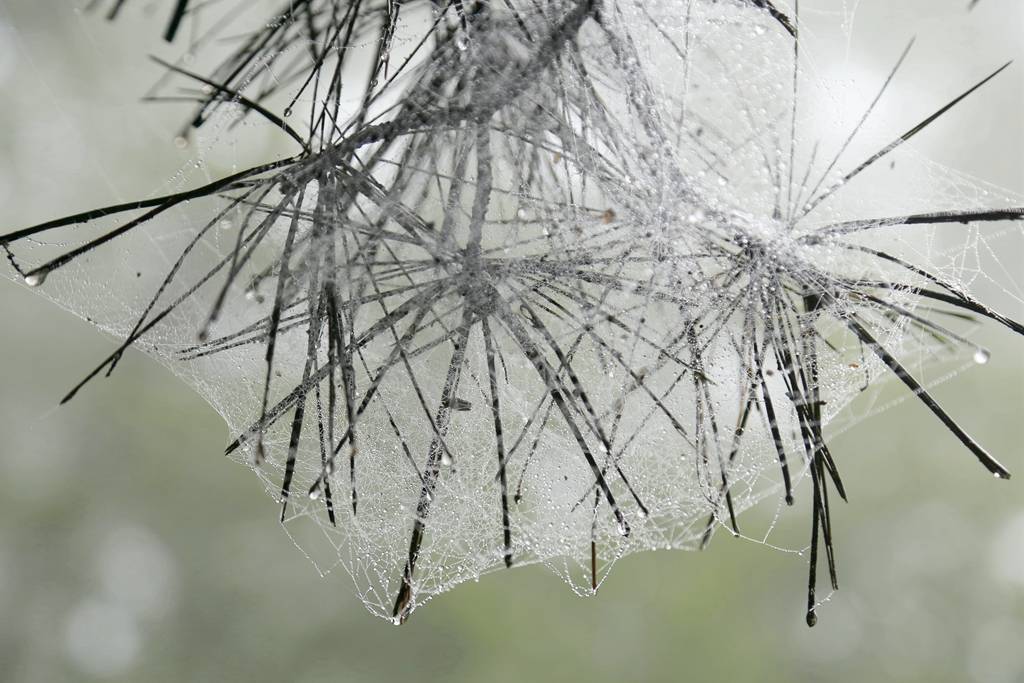 网呀网<strong></p>
<p>多币网</strong>，说不清的网