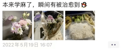 震惊<strong></p>
<p>VBITEX</strong>！与宿舍楼亲密共处8天的Biter竟是这样的......