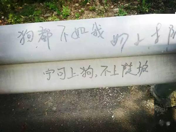 9男4女<strong></p>
<p>Kmex</strong>，骑行1900km！