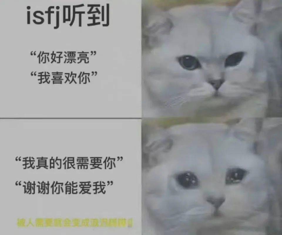 爱在“520” | 16种MBIT<strong></p>
<p>Bitget</strong>，都在说“我爱你”