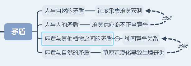 Recreate the Oasis民勤绿洲的荒漠化防治|Needle 2022成果展|Needle项目分享