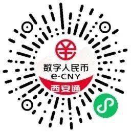 全国首发<strong></p>
<p>币钱通</strong>！“数字人民币西安通”平台来啦！