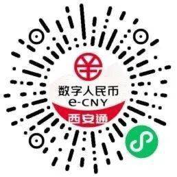 全国首发<strong></p>
<p>币钱通</strong>！“数字人民币西安通”来了