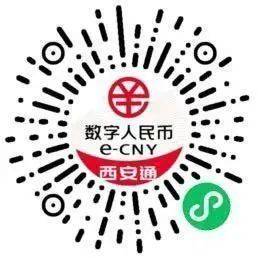 全国首发<strong></p>
<p>币钱通</strong>！“数字人民币西安通”平台上线试运行