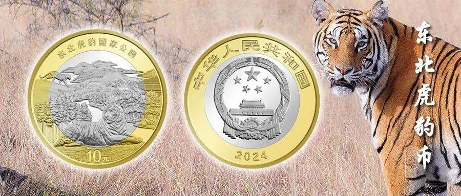东北虎豹币300万人抢约<strong></p>
<p>炒币行情</strong>，外挂猖獗，行情恐不如京剧币！