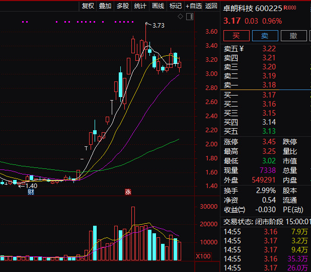 连续5年造假！这只A股<strong></p>
<p>炒币书</strong>，面临强制退市！