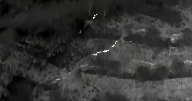 云南“6头野猪从天而降”<strong></p>
<p>币圈大空翼</strong>？实为被猎捕时跳崖 对话野猪“赏金猎人”：干这行不赚钱