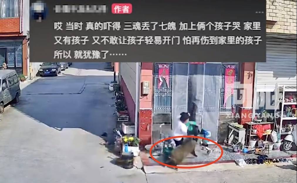 不是上海<strong></p>
<p>币风港</strong>！不是上海！不是上海！最新：已被特警击毙