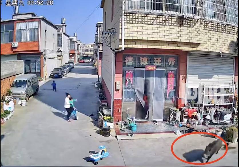 不是上海<strong></p>
<p>币风港</strong>！不是上海！不是上海！最新：已被特警击毙