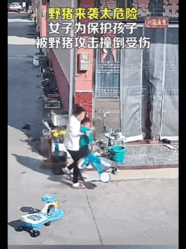 不是上海<strong></p>
<p>币风港</strong>！不是上海！不是上海！最新：已被特警击毙