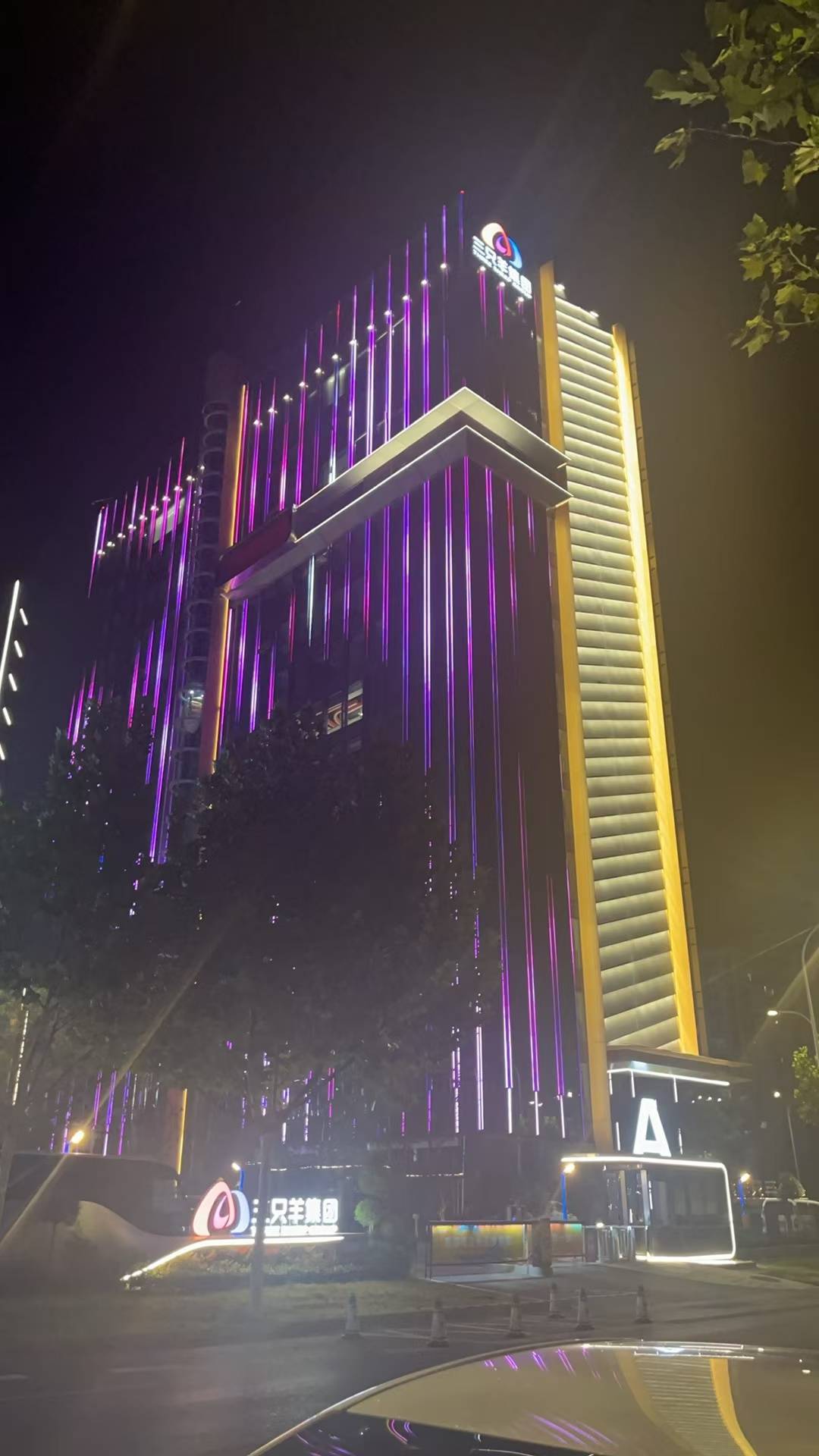实探三只羊总部：深夜灯火通明<strong></p>
<p>币圈行话</strong>，门口有主播靠直播园区日常涨粉数十万