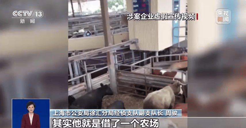 300万元变6万斤牛肉<strong></p>
<p>币圈论坛社区</strong>，吃不到也卖不了，什么情况？