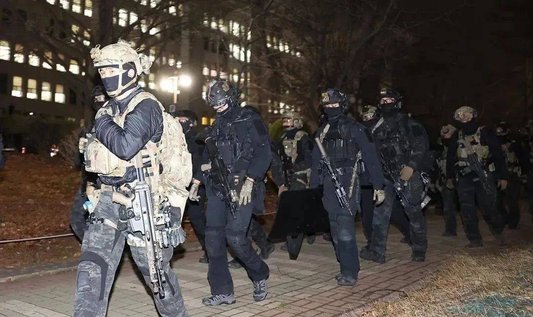 行动细节披露<strong></p>
<p>洪币价格</strong>！韩特种部队队长：我们被利用了