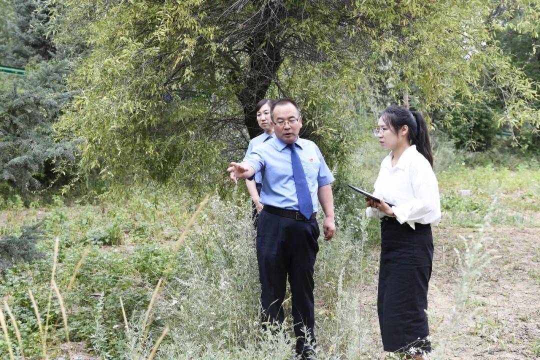 还有8天刑满释放<strong></p>
<p>鲸鱼币</strong>，十年有期徒刑变为死缓，最高检抗诉的甘肃马某林案获改判