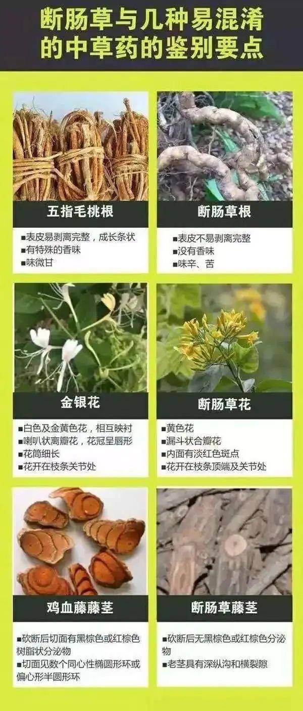 广东一老人买药材煲汤中毒身亡 当地：店铺误售断肠草<strong></p>
<p>币行情app</strong>，老板被拘留