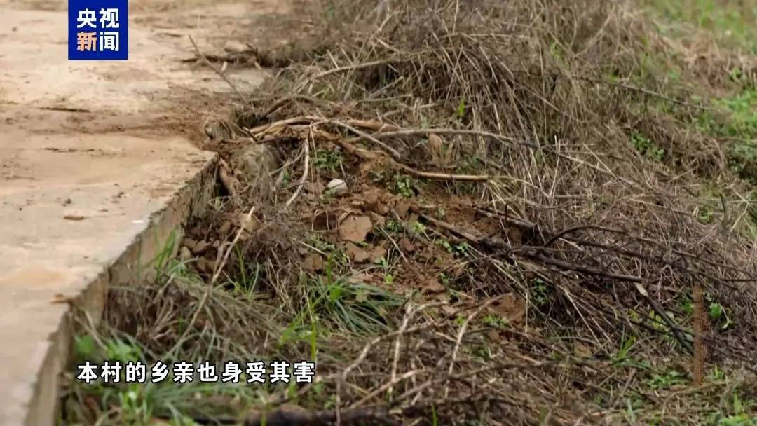 四川一干部受贿400余万元<strong></p>
<p>炒币的网站</strong>，每次收钱都要“退还”几捆