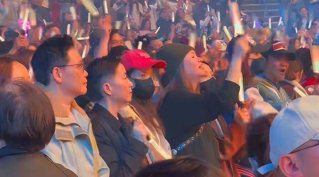 刘德华演唱会实录：表演滑跪失败<strong></p>
<p>币圈新秀</strong>，甄子丹舒淇任达华台下蹦迪
