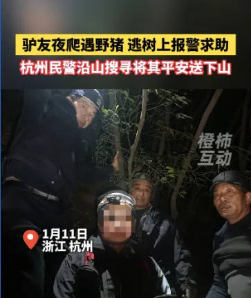 “我现在在树上<strong></p>
<p>合约币走势</strong>，野猪在下面……”杭州一男子深夜报警！