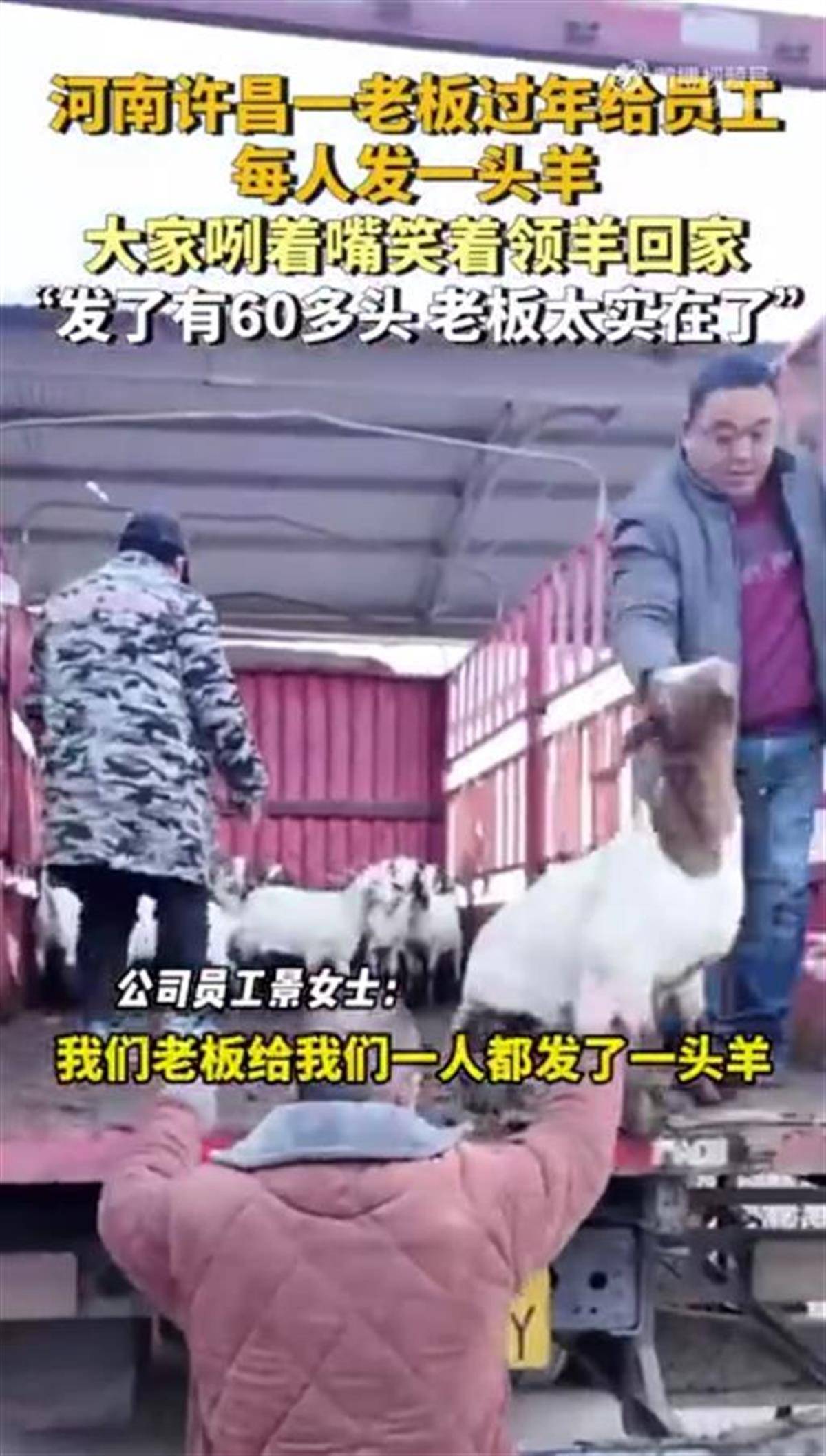 河南一公司给60多名员工每人发一头羊<strong></p>
<p>炒币交流群</strong>，员工：太实在了，跟着老板有肉吃！