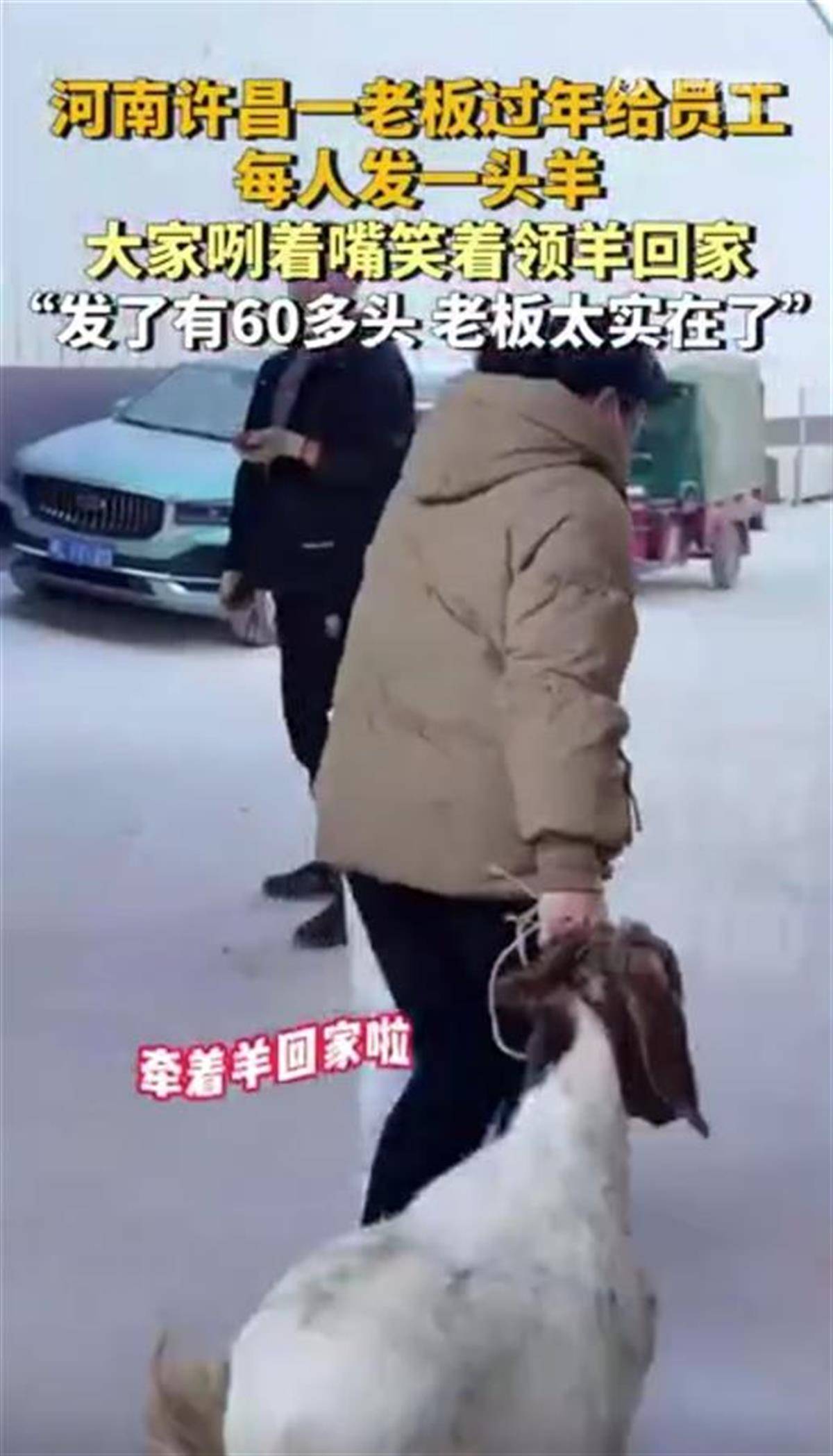 河南一公司给60多名员工每人发一头羊<strong></p>
<p>炒币交流群</strong>，员工：太实在了，跟着老板有肉吃！