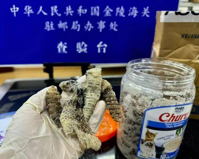 离谱！2.4斤生腌响尾蛇<strong></p>
<p>炒游戏币</strong>，被藏在零食罐里……