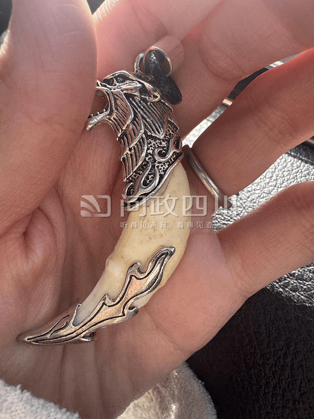 游客称购两颗狼牙实为狗牙<strong></p>
<p>币圈94</strong>，律师：买卖真狼牙涉违法，卖假狼牙涉欺诈
