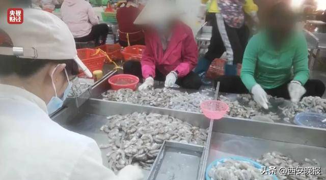 与辉同行或赔2000万<strong></p>
<p>密币链</strong>，董宇辉曾称每个月检测费近百万