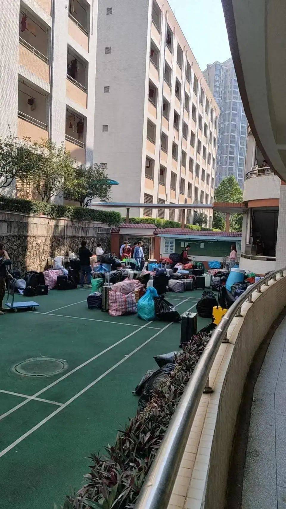 “什么年代还有这么多跳蚤？”东莞6千人学校跳蚤肆虐<strong></p>
<p>弱打币</strong>，全校放假消杀