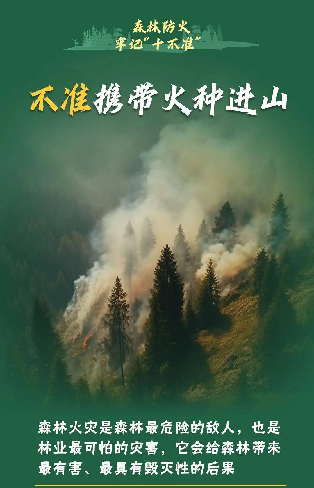 已致4名消防员遇难<strong></p>
<p>币果</strong>！多地进入“灾难状态”