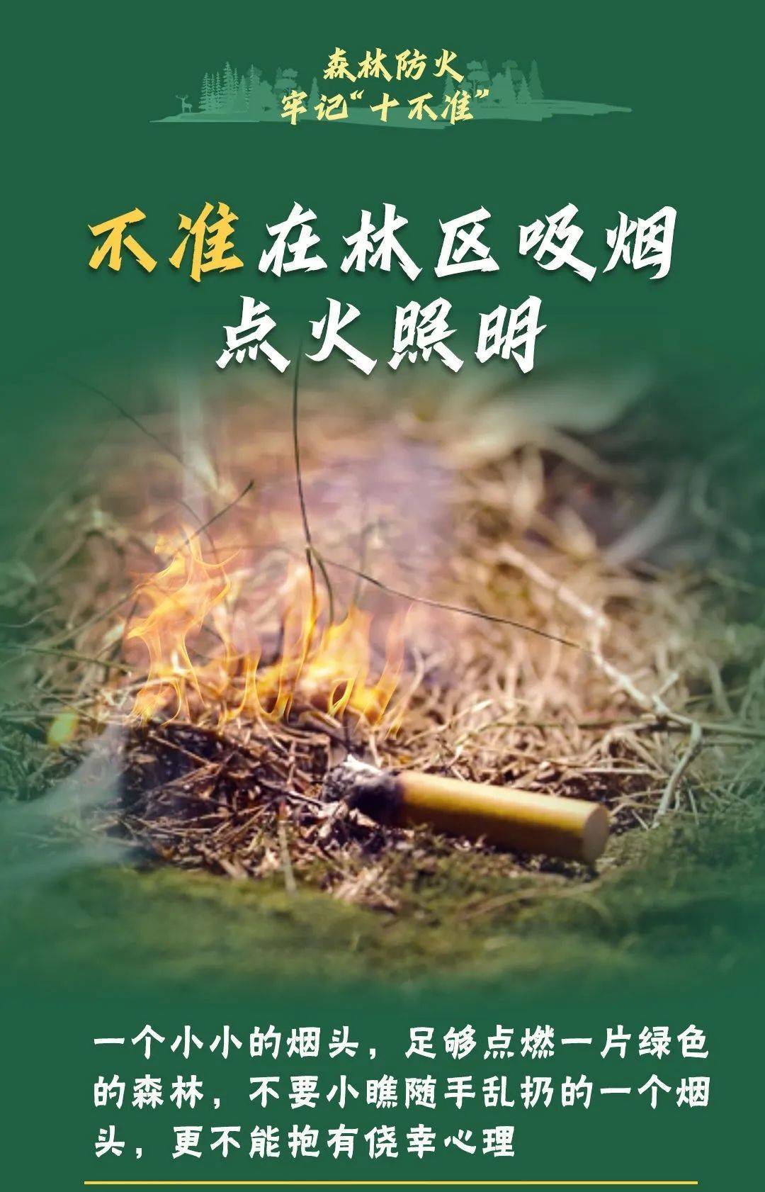 已致4名消防员遇难<strong></p>
<p>币果</strong>！多地进入“灾难状态”