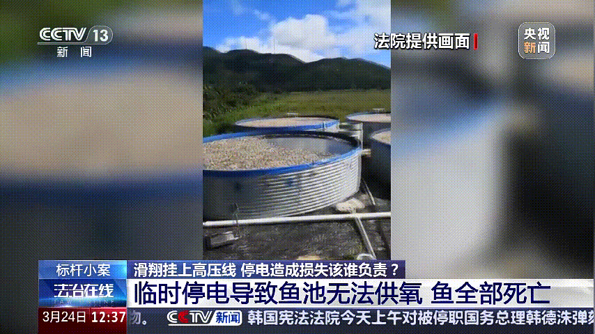 深圳女子被挂高压线！停电救援<strong></p>
<p>烙印币</strong>，9池鱼死光！他怒上法庭……