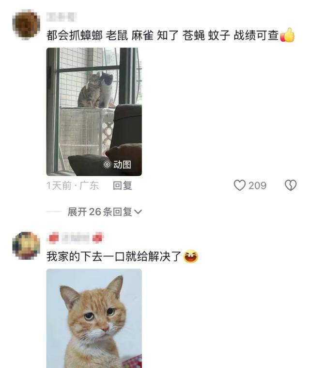 老鼠掉进泳池<strong></p>
<p>烙印币</strong>，广东大叔出动鸡猫狗团队，结果全被老鼠吓跑！网友坐不住纷纷晒战绩