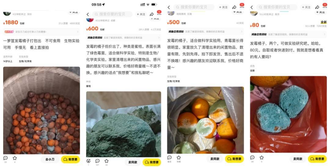 突然火了<strong></p>
<p>名朋圈币</strong>！有人卖500元一个！网友：后悔扔了……