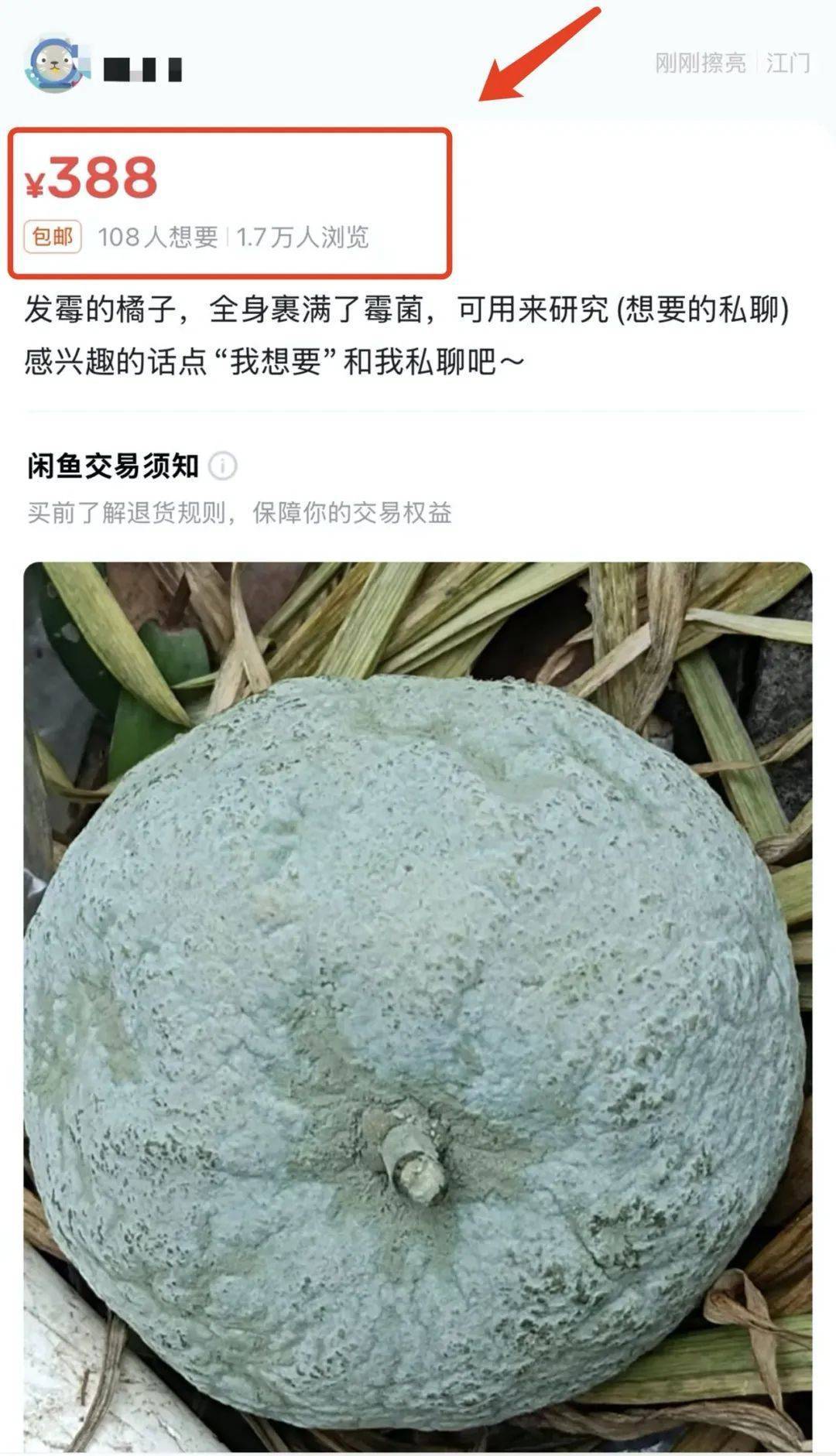 突然火了<strong></p>
<p>名朋圈币</strong>！有人卖500元一个！网友：后悔扔了……