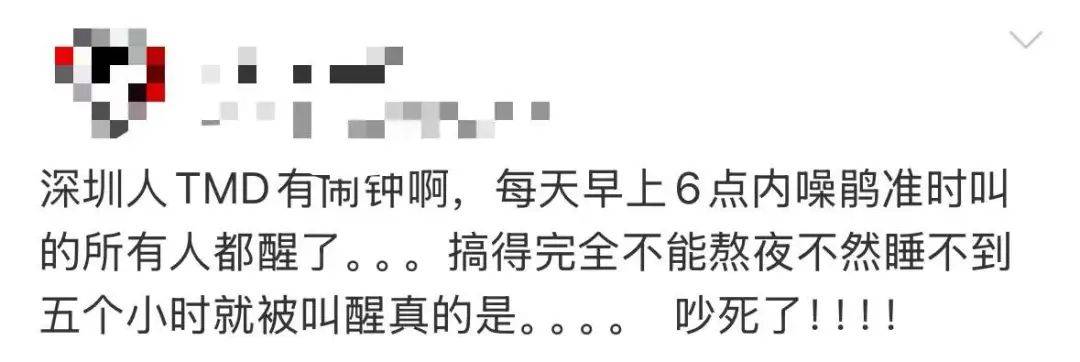 “周末想睡个懒觉都不行”<strong></p>
<p>炒币故事</strong>，有多少深圳人被这种鸟吵到神经衰弱