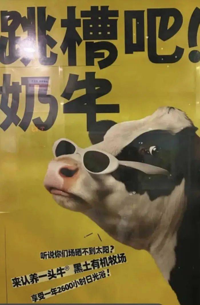 认养一头牛广告被质疑讽刺打工人<strong></p>
<p>币圈生态图</strong>，公司回应：致敬BOSS直聘