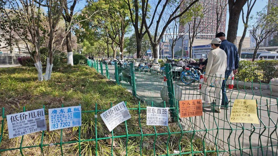 一二线城市房租普降<strong></p>
<p>炒币风险</strong>，房东主动降200留我