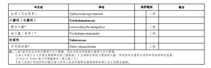 价值18万余元！男子在祁连山非法收购5632根冬虫夏草<strong></p>
<p>炒币亏惨</strong>，构成危害国家重点保护植物罪获刑