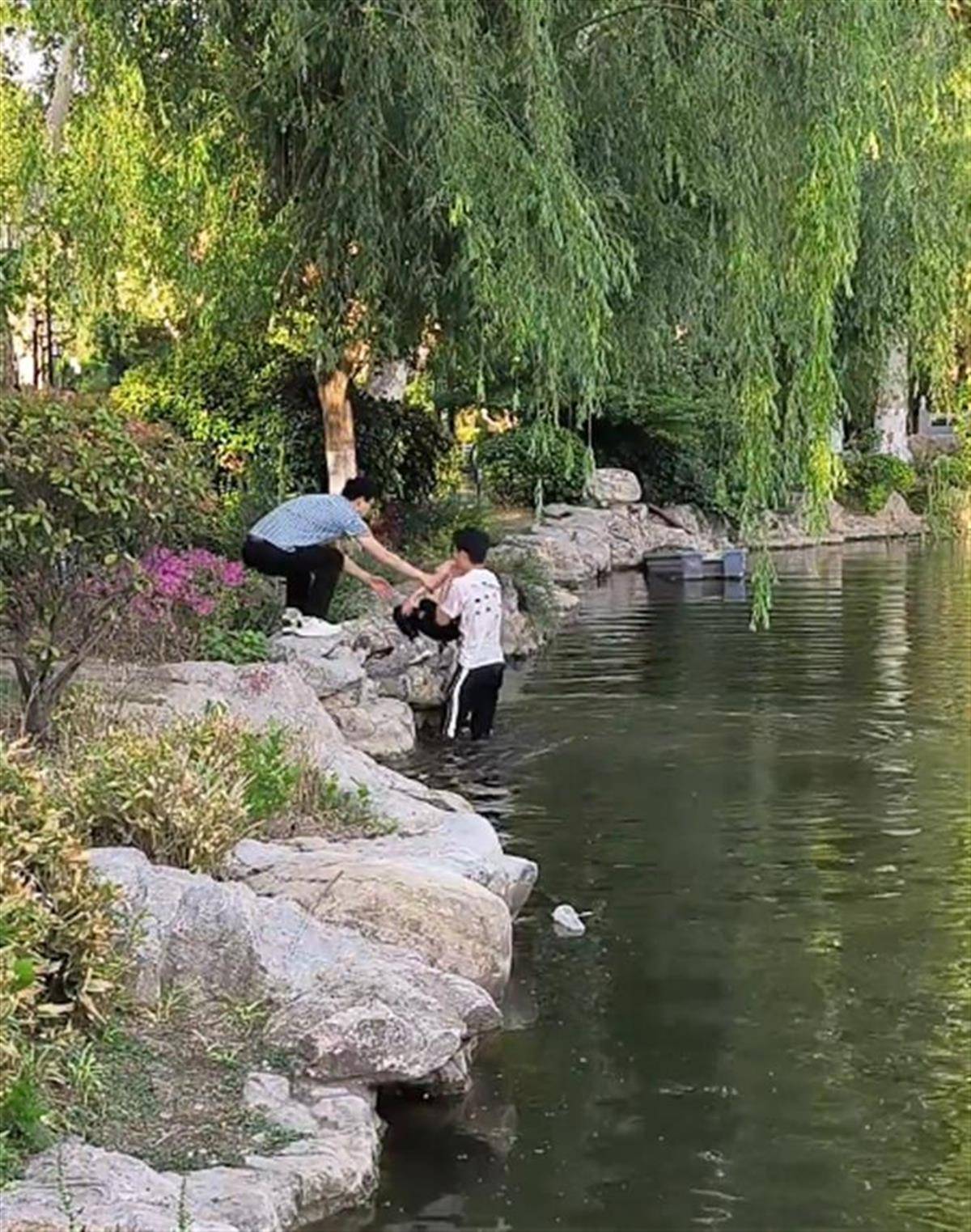 徐州一女童落水被救起<strong></p>
<p>花链币</strong>，家长赶来先责怪孩子，救人者：家长当时吓坏了，后来已道谢