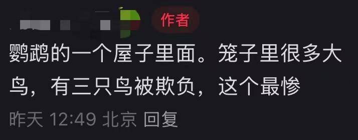 北京动物园一小鹦鹉被拍到头顶光秃皮肤裸露疑似抑郁<strong></p>
<p>炒币买卖</strong>，网友直呼心疼，园方回应
