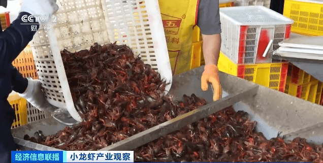 价格暴跌近50%<strong></p>
<p>币圈电报</strong>！“接下来还会降”！青岛正大量上市……