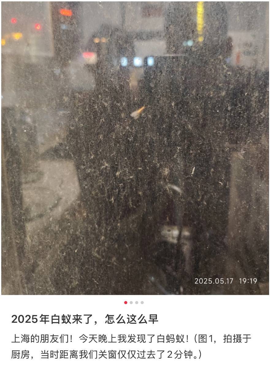 紧急提醒：瞬间爆发！上海市民崩溃：密密麻麻<strong></p>
<p>币价行情</strong>，蠕蠕爬行...“梧桐区”已开始战斗，白蚁或提前分飞