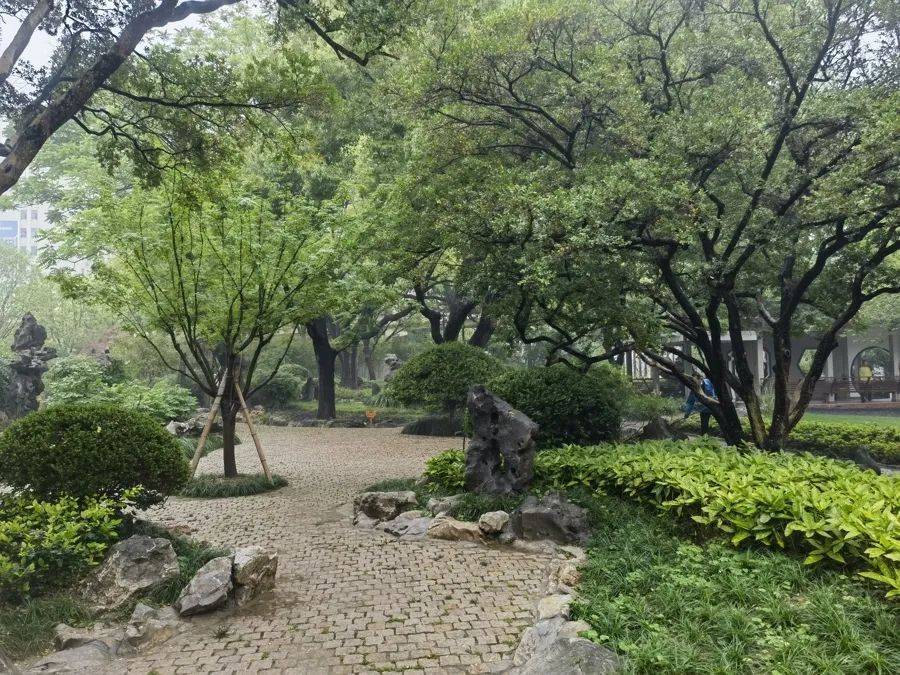 紧急提醒：瞬间爆发！上海市民崩溃：密密麻麻<strong></p>
<p>币价行情</strong>，蠕蠕爬行...“梧桐区”已开始战斗，白蚁或提前分飞