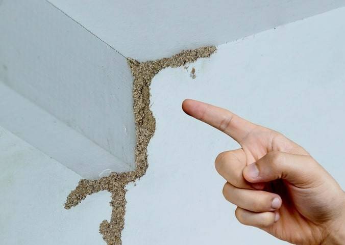 紧急提醒：瞬间爆发！上海市民崩溃：密密麻麻<strong></p>
<p>币价行情</strong>，蠕蠕爬行...“梧桐区”已开始战斗，白蚁或提前分飞