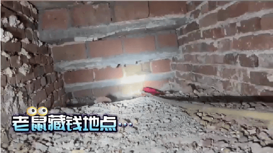 老人用红袜子包裹一万元现金藏在门框上<strong></p>
<p>币链江湖</strong>，一天后不翼而飞，警方破案：偷钱的是老鼠