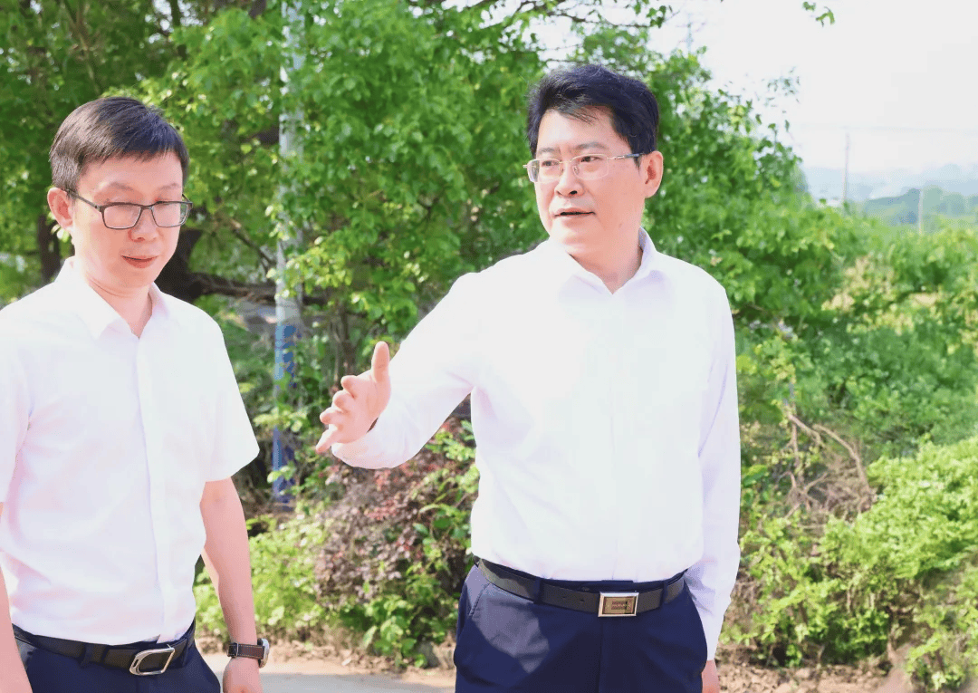 央视曝光后<strong></p>
<p>币链江湖</strong>，萍乡市委书记实地督导垃圾专项整治