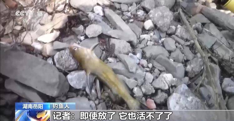 保护区里的“疯狂垂钓”屡禁不止<strong></p>
<p>炒币策略</strong>！记者调查