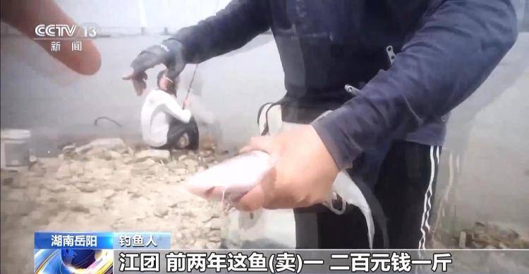 保护区里的“疯狂垂钓”屡禁不止<strong></p>
<p>炒币策略</strong>！记者调查