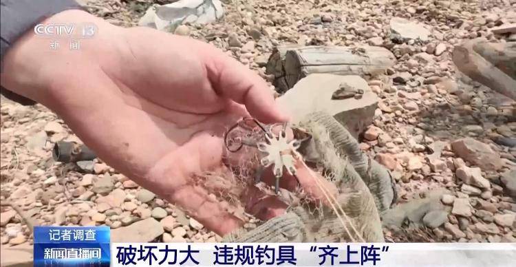 保护区里的“疯狂垂钓”屡禁不止<strong></p>
<p>炒币策略</strong>！记者调查