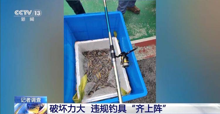 保护区里的“疯狂垂钓”屡禁不止<strong></p>
<p>炒币策略</strong>！记者调查